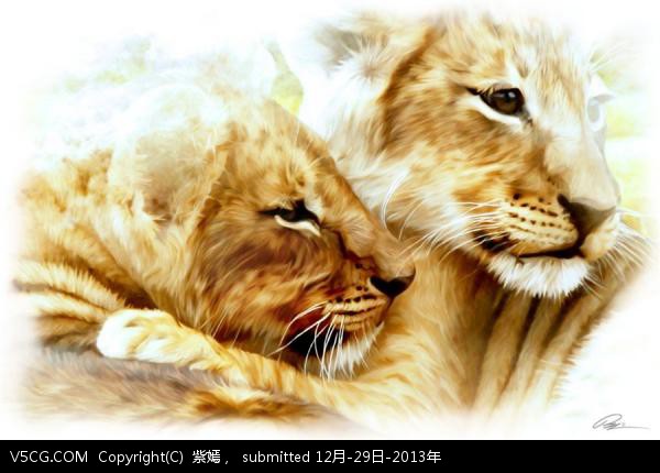 狮子绘画 (5).jpg