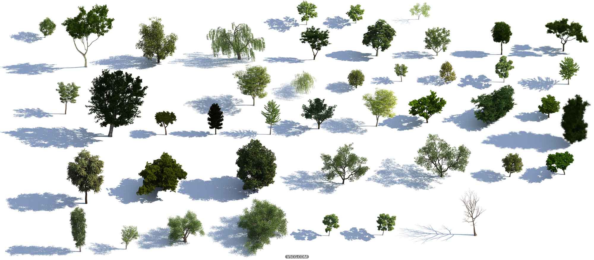 000-YYW-模型树渲染_NK-HH.jpg