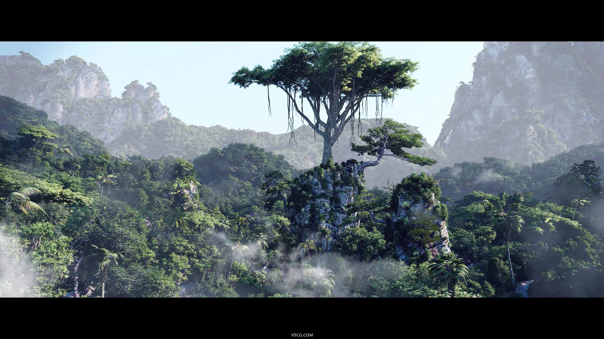 森林2.jpg