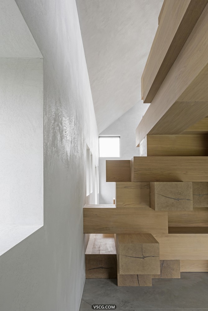 Studio_Farris_Architects_-_Stable_in_West_Flanders_-_SWF_PH_008_(photo_Koen_Van_.jpg