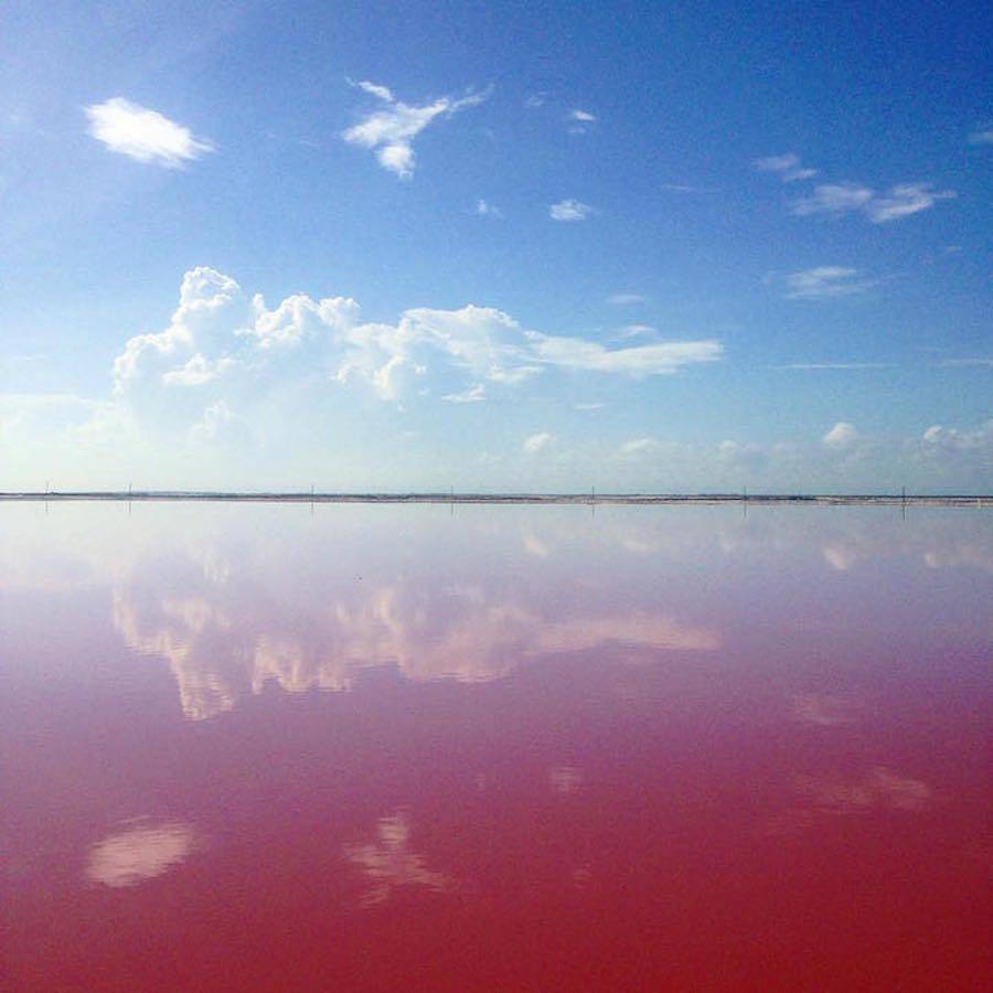 墨西哥天然粉色湖 6.jpg