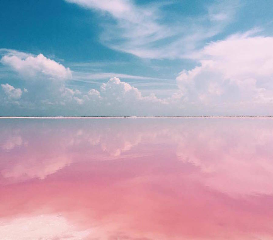 墨西哥天然粉色湖 1.jpg