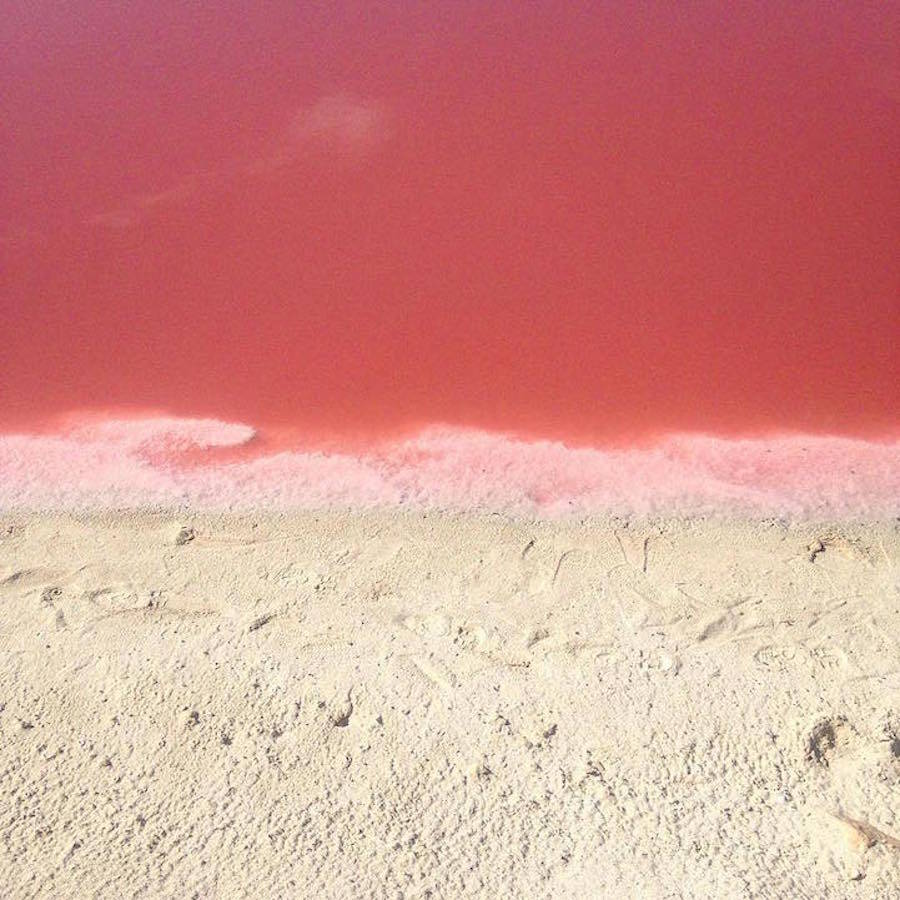 墨西哥天然粉色湖 7.jpg