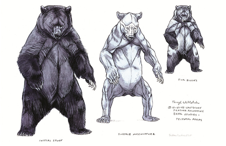 terryl-whitlatch-bear-studies1.jpg