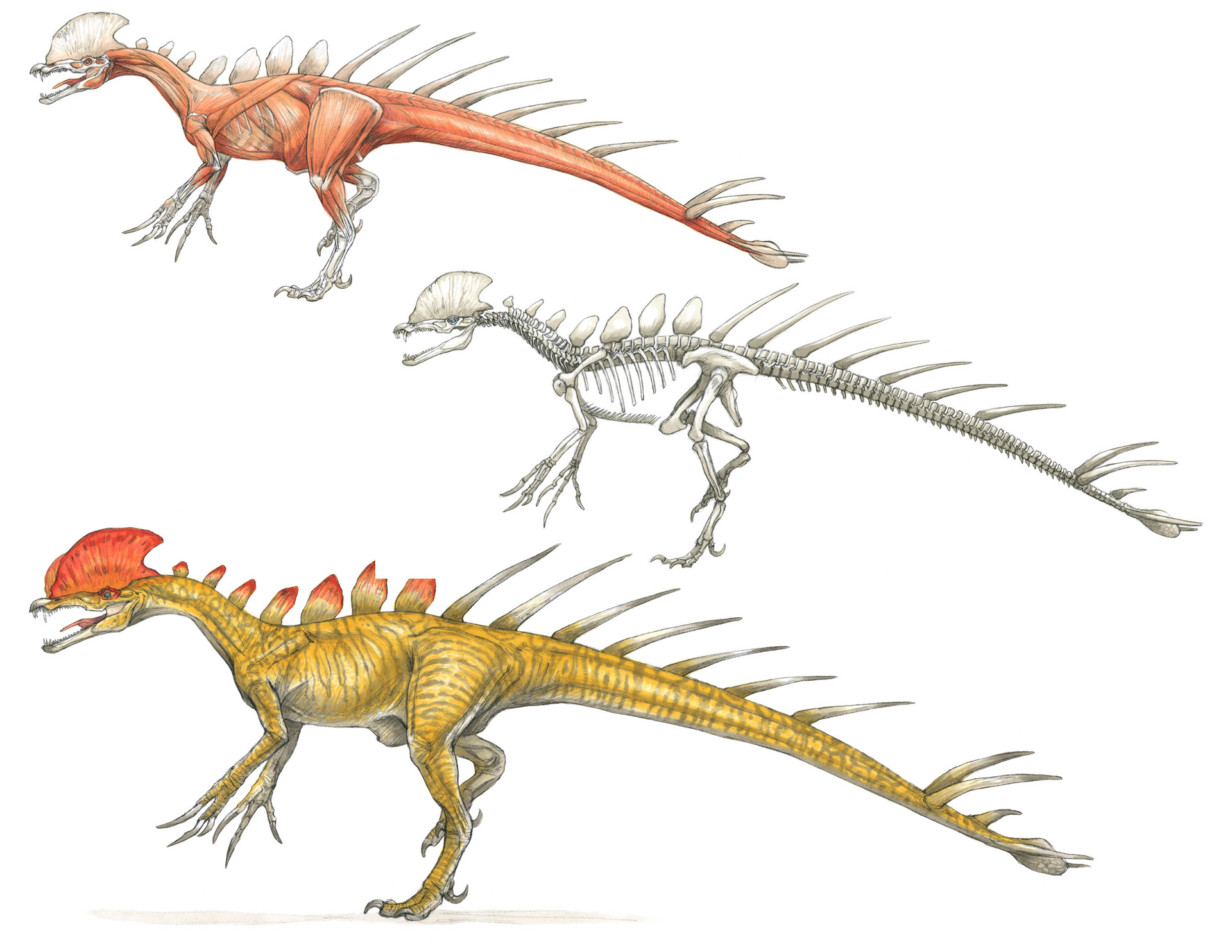 terryl-whitlatch-dinosaursaurus.jpg