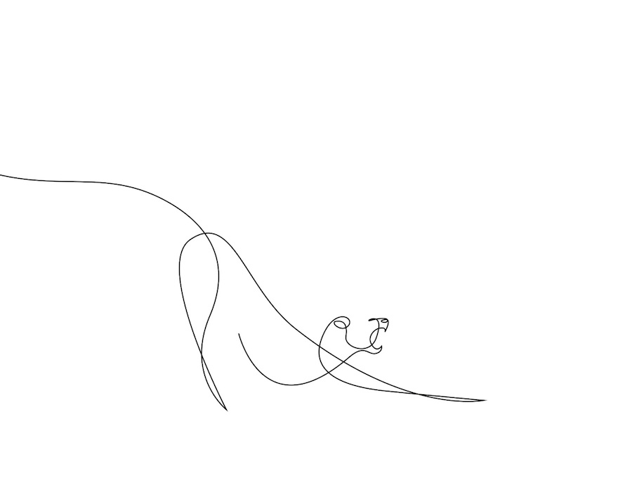 New-Series-of-Animals-in-One-Line-by-Differantly-6.jpeg