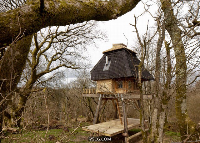 writers-hut-on-stilts-in-the-Dorset-7.jpg