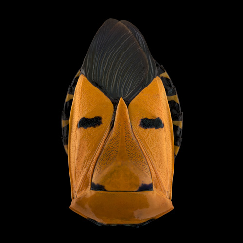 021-Mask-Totem-by-Pascal-GOET.jpg