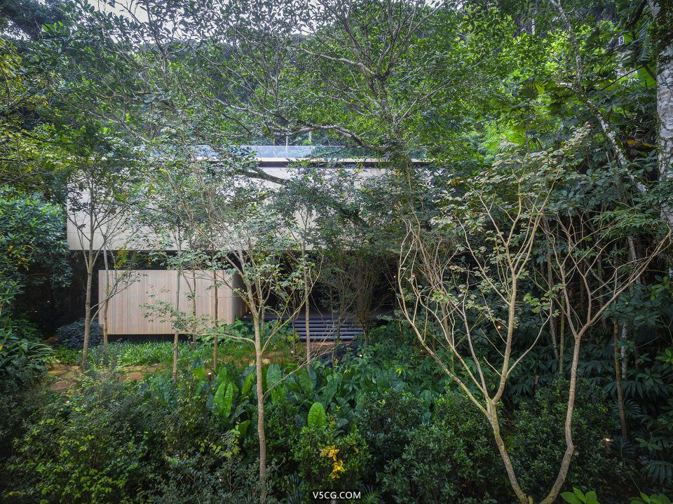 009-Jungle-House-by-MK27-960x719.jpg