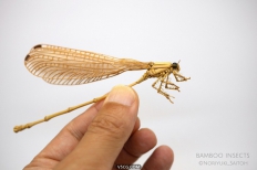 用竹子创作出形态逼真的昆虫模型