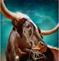 美国 Teresa Elliott 的牛犊系列画欣赏（竖）