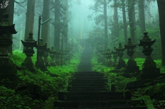 雨雾中的日本上色见熊野神社