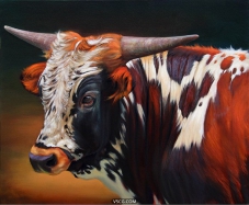 美国 Teresa Elliott 的牛犊系列画欣赏（横）