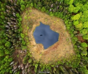 Kaszuby森林中心湖泊的一年