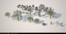 个人整理枯树模型（代理贴图齐全）（第一季）版本max 2009
