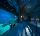 丹麦卡斯特鲁普的蓝色星球水族馆