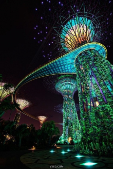 新加坡海湾花园
