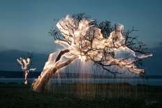 “火树银花” 摄影师 Vitor Schietti 利用烟花拍摄的光绘照片