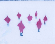 雪地里的快乐小分队。作者：Osamu Yokonami