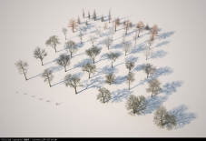 个人整理枯树模型（代理贴图齐全）（第四季）版本max 2009