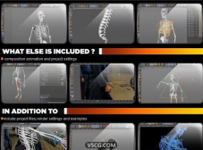 C4D透视人体骨骼绑定合成教程 Skeleton rigging composition