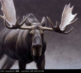 美国 George Lockwood 的兽畜画欣赏