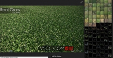 VPK Real Grass花草3D模型插件包