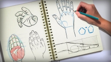 Digitaltutors-画手之法（Methods for Drawing the Human Hand）