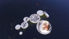 意大利湖面浮动文化装置