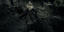 Cinema4dtutorial–巨形蜘蛛合成教学【Giant Spider Compositing in C4d】
