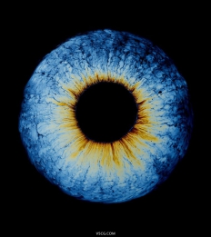 辐射状的彩色油滴摄影系列 “Oil Spill”