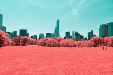 红外摄影的纽约中央公园