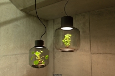 【艺术作品】自由呼吸的植物吊灯